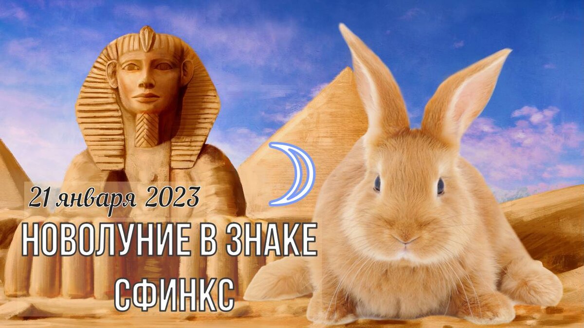 Коллаж автора канала АстроВорон.МистерииЗодиака