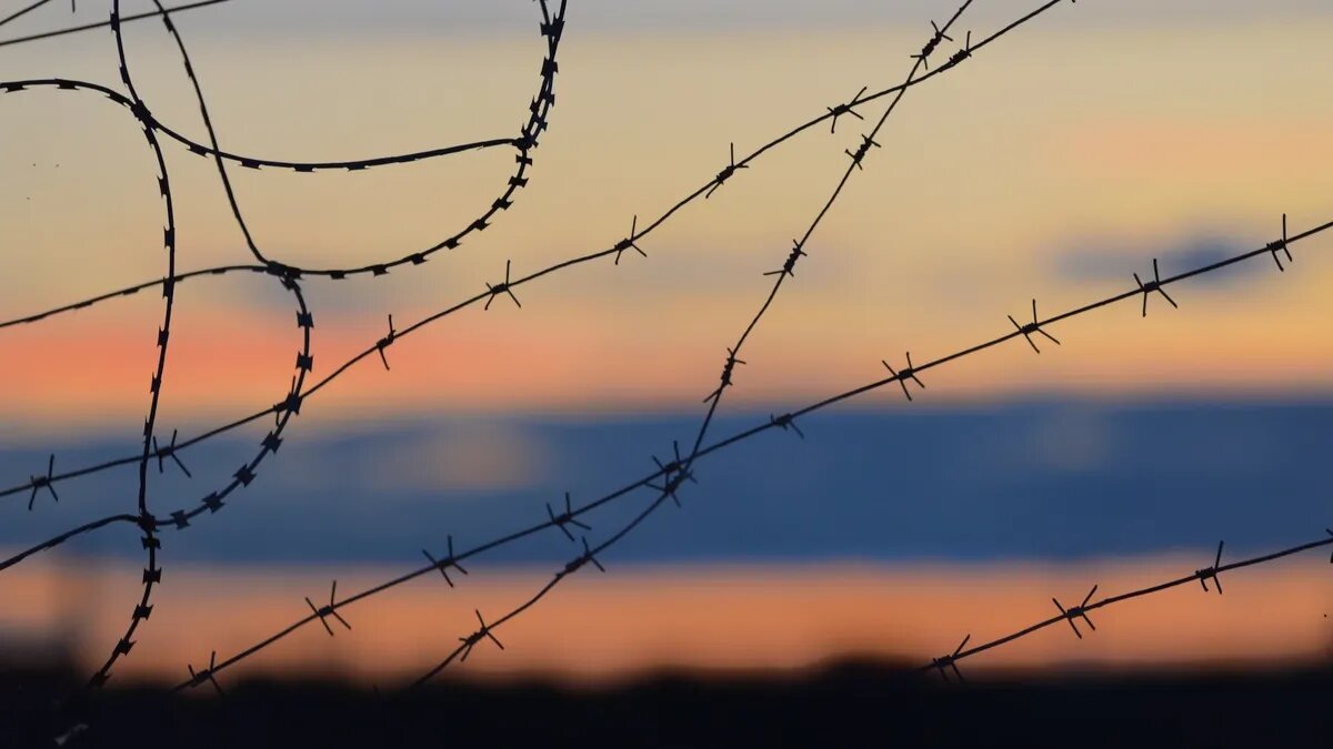 Рассвет за колючей проволокой. Фото: unsplash.com