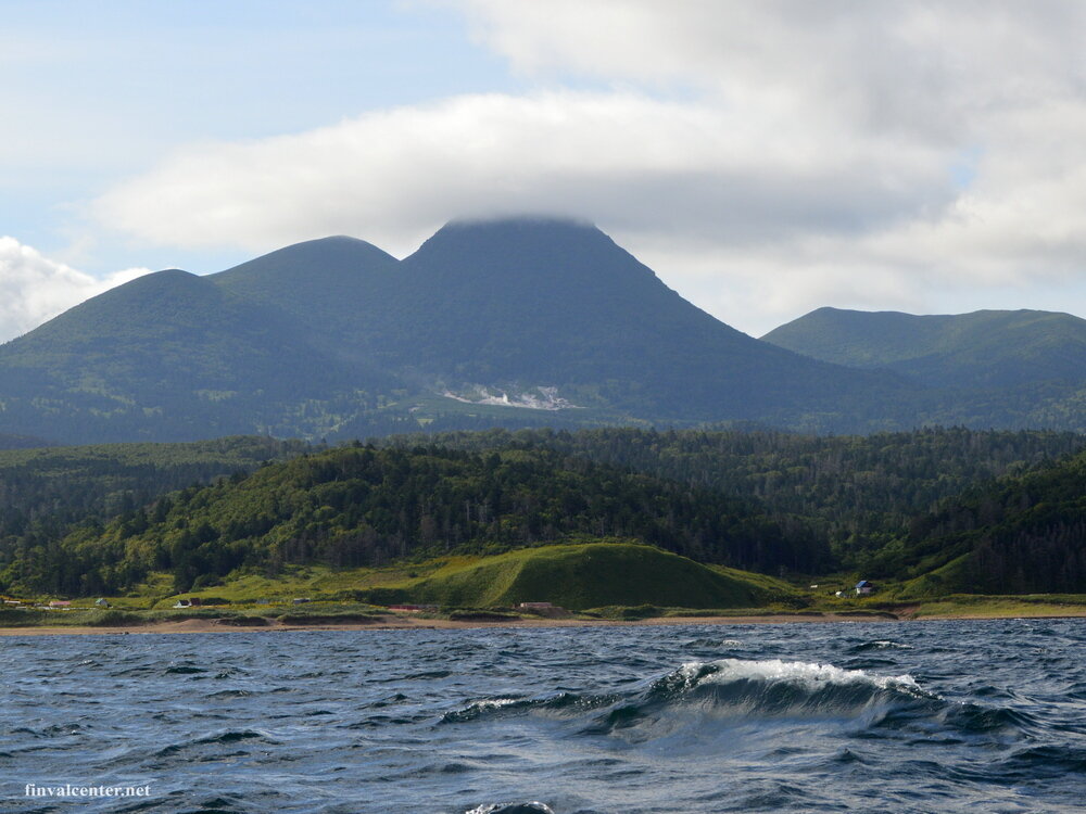 Рыба выбрасывается на Курильские берега. В чем причина | Путешествия с ...