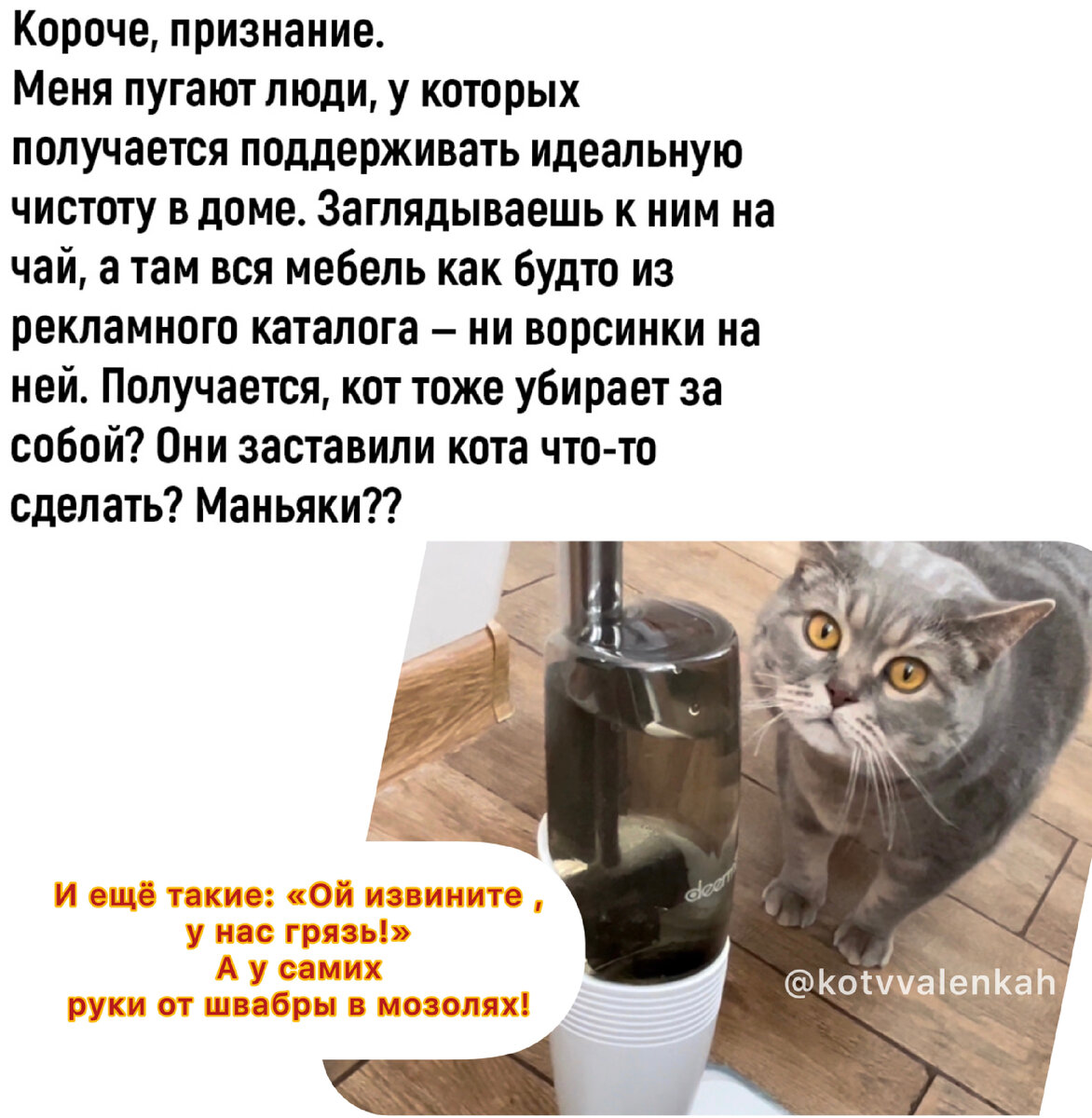 Мемы субботы для поднятия? Или нет? 😸настроения 😻 | Кот в валенках  Марсель | Дзен