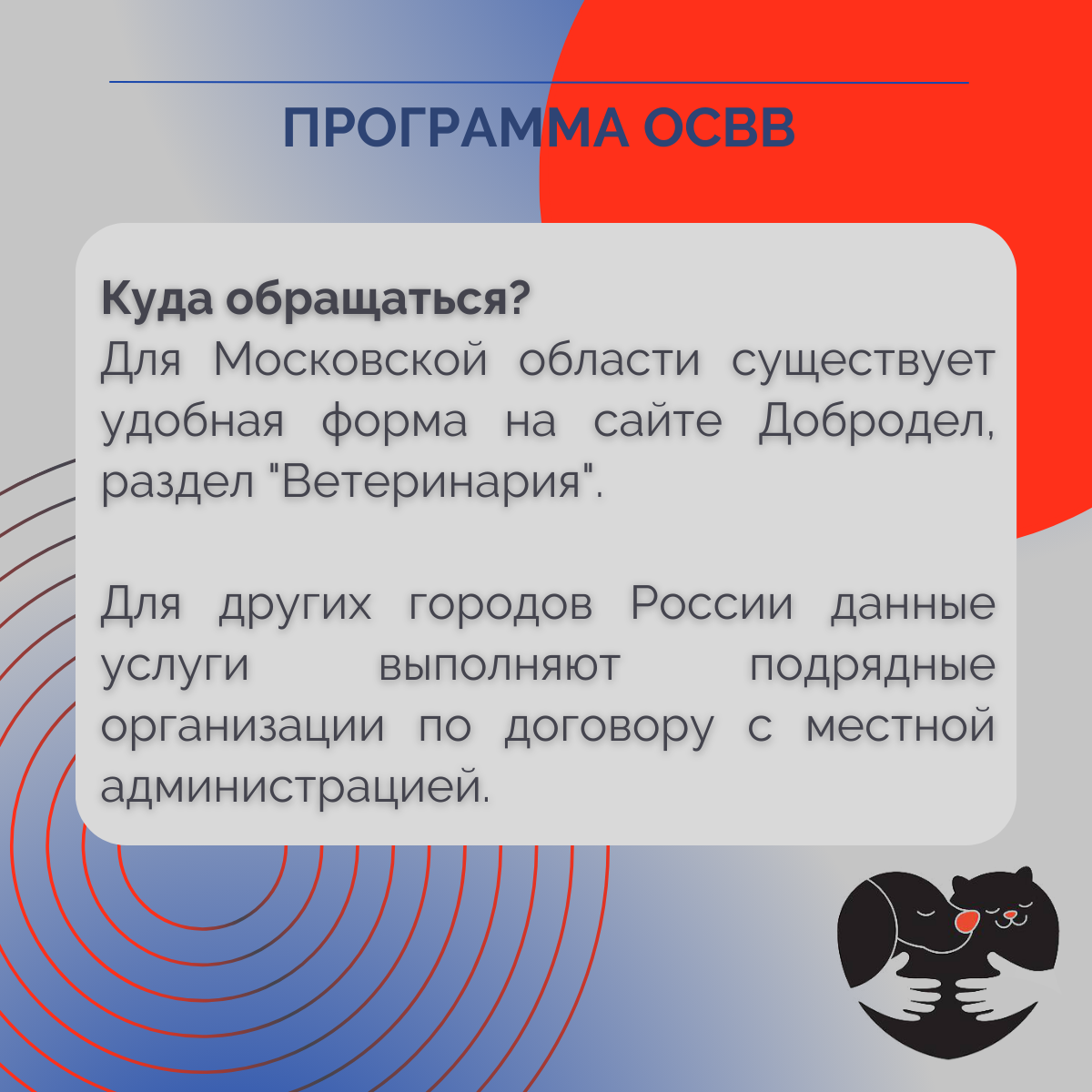 Программа отлова бездомных собак в картинках | Благотворительный Фонд «Возьми  счастье в дом» | Дзен