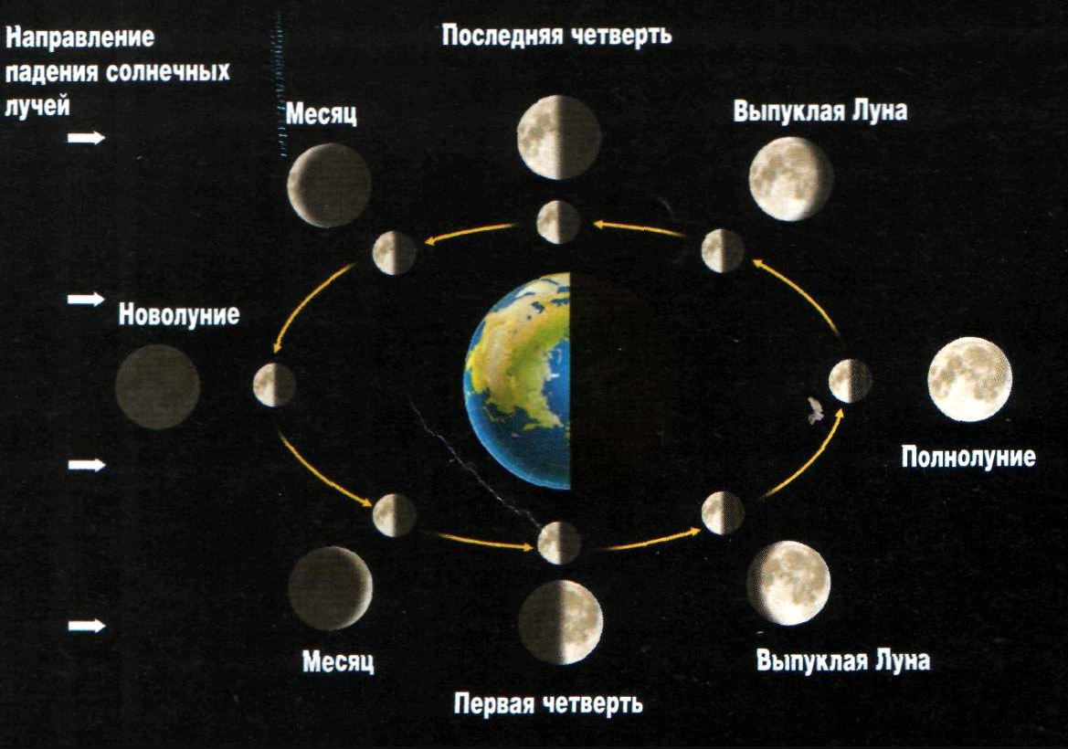 Движение луны происходит. Положение Луны относительно земли и солнца. Схема смены фаз Луны. Полнолуние схема расположения земли Луны. Фазы Луны относительно земли, Луны и солнца.