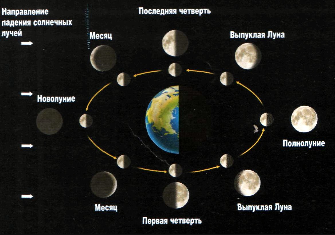 Лунный месяц фазы. Фазы Луны новолуние первая четверть полнолуние последняя четверть. Схема смены фаз Луны. Полнолуние схема расположения земли Луны. Фазы Луны схема фаз