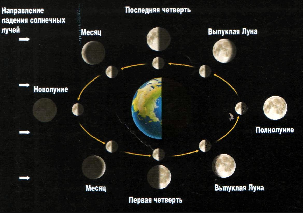 Какая скорость луны. Фазы Луны новолуние первая четверть полнолуние последняя четверть. Схема смены фаз Луны. Полнолуние схема расположения земли Луны. Фазы Луны схема фаз.