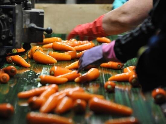     фото: Департамент информационной политики Свердловской области