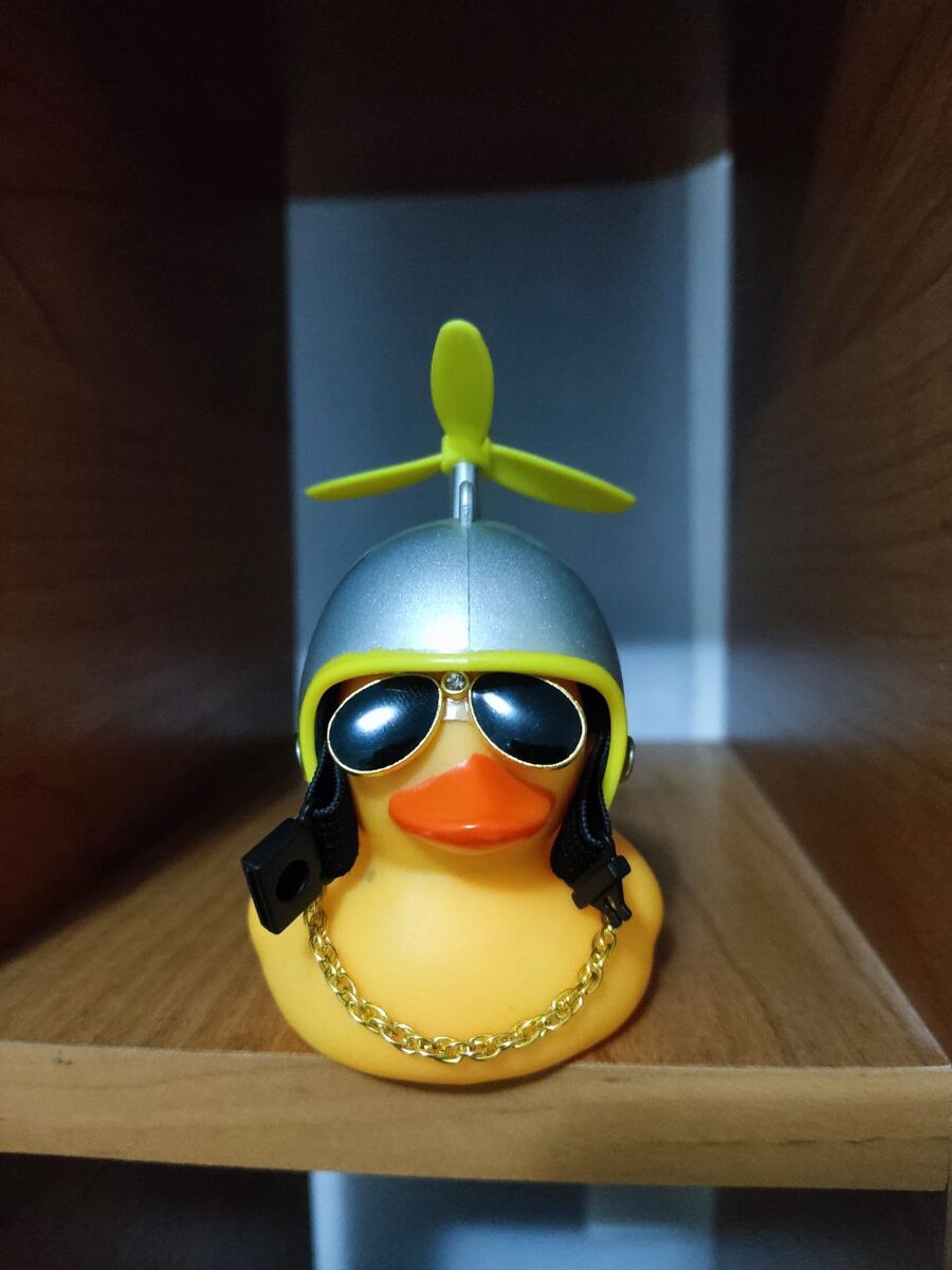 Моя утка-одна из коллекции 