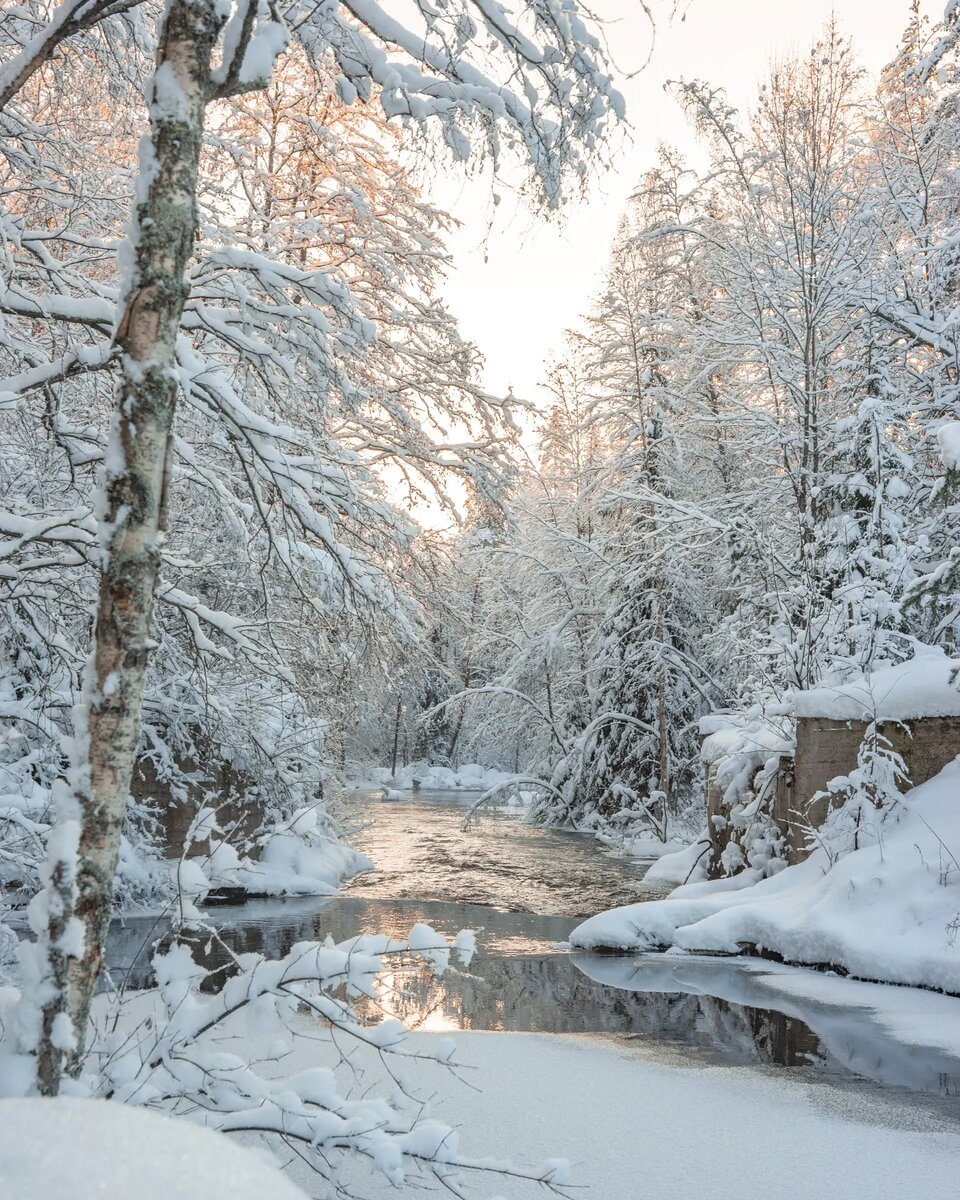 ������ �������