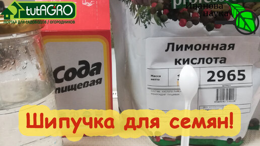 Николай Воробьев: Меры помощи участникам СВО и их семьям необходимы для побед