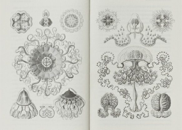 Главная героиня обожает эти плакаты.