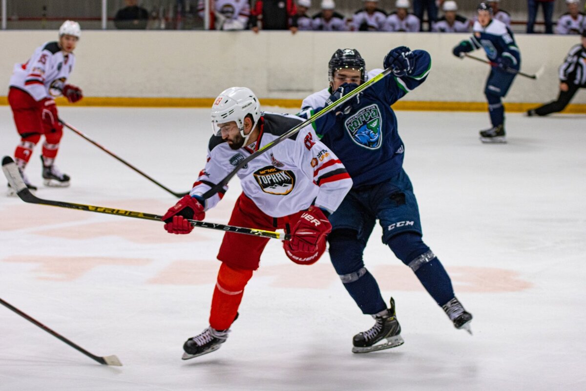    «Югра» с поражения стартовала в плей-офф Кубка Петрова