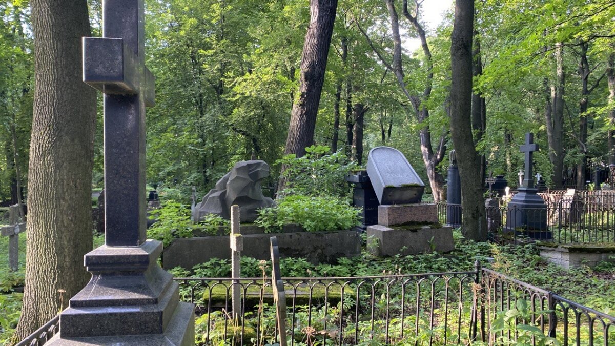 Фото: ИА SM.News📷
