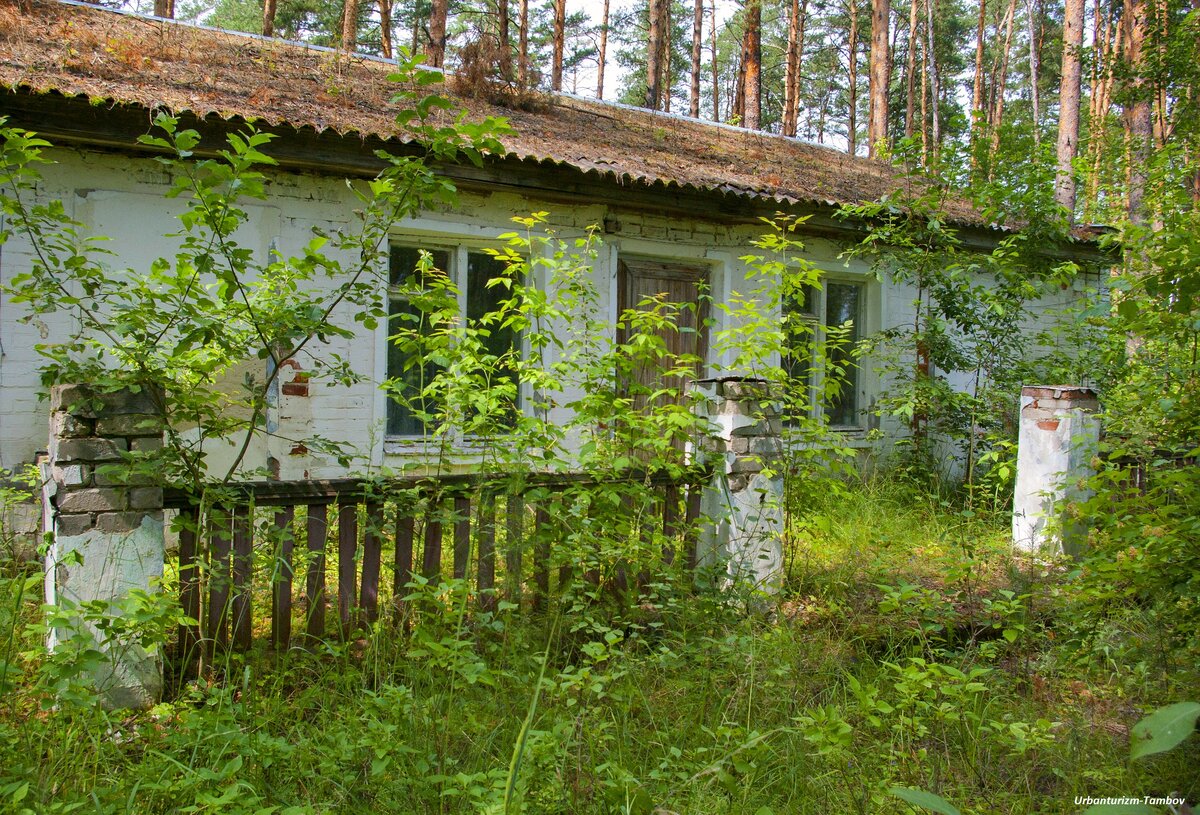 ЗАБРОШЕННЫЙ ДЕТСКИЙ ЛАГЕРЬ «АВТОМОБИЛИСТ» | Заброшенный Мир | Дзен