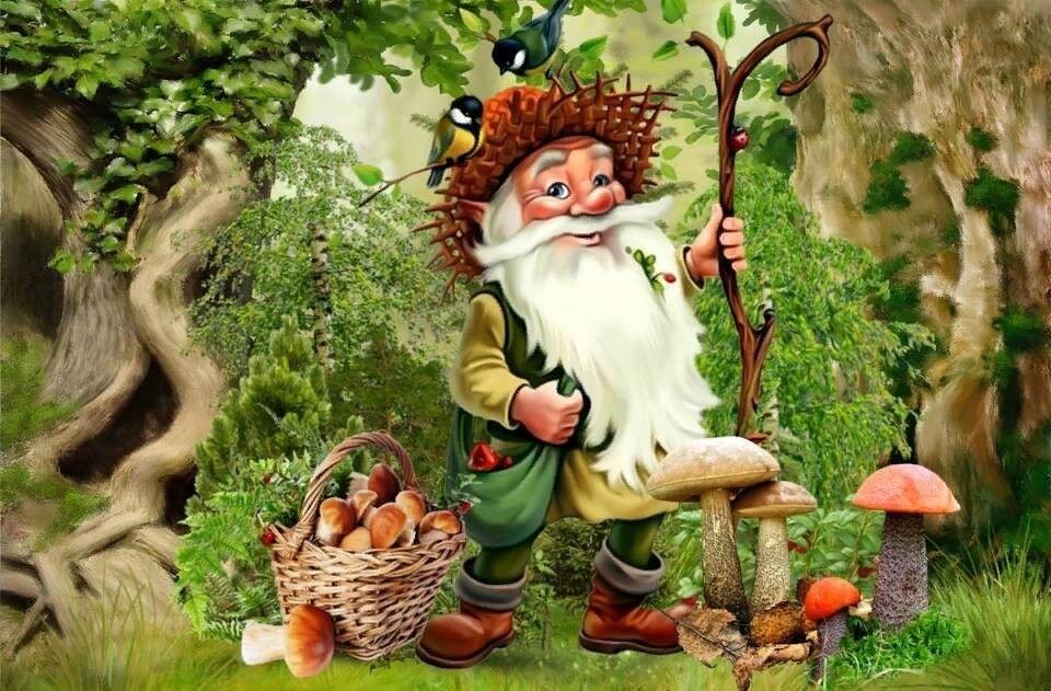 Фото из открытого источника