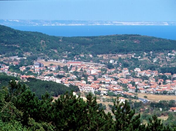    © РИА Новости Дмитрий Коробейников