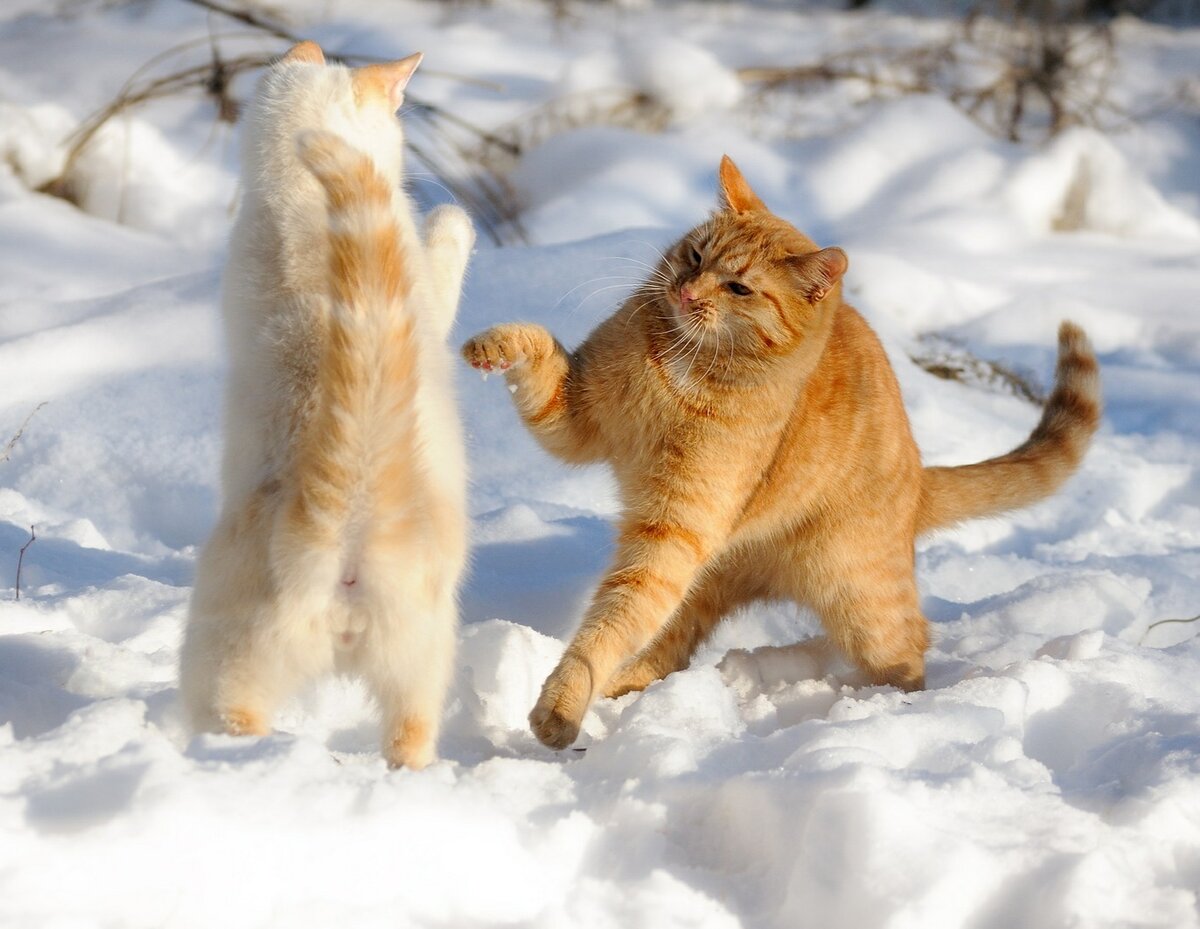 Источник: Яндекс картинки