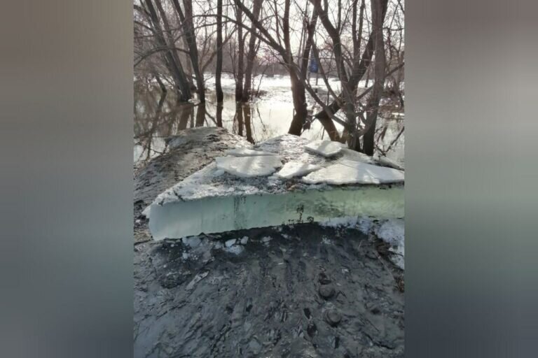    В Первомайском районе ситуация с паводком стабилизируется, жители возвращаются домой Марина Шарт