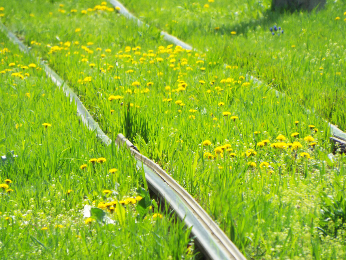 Трамвайные пути на улице Февральской (апрель 2021 года)