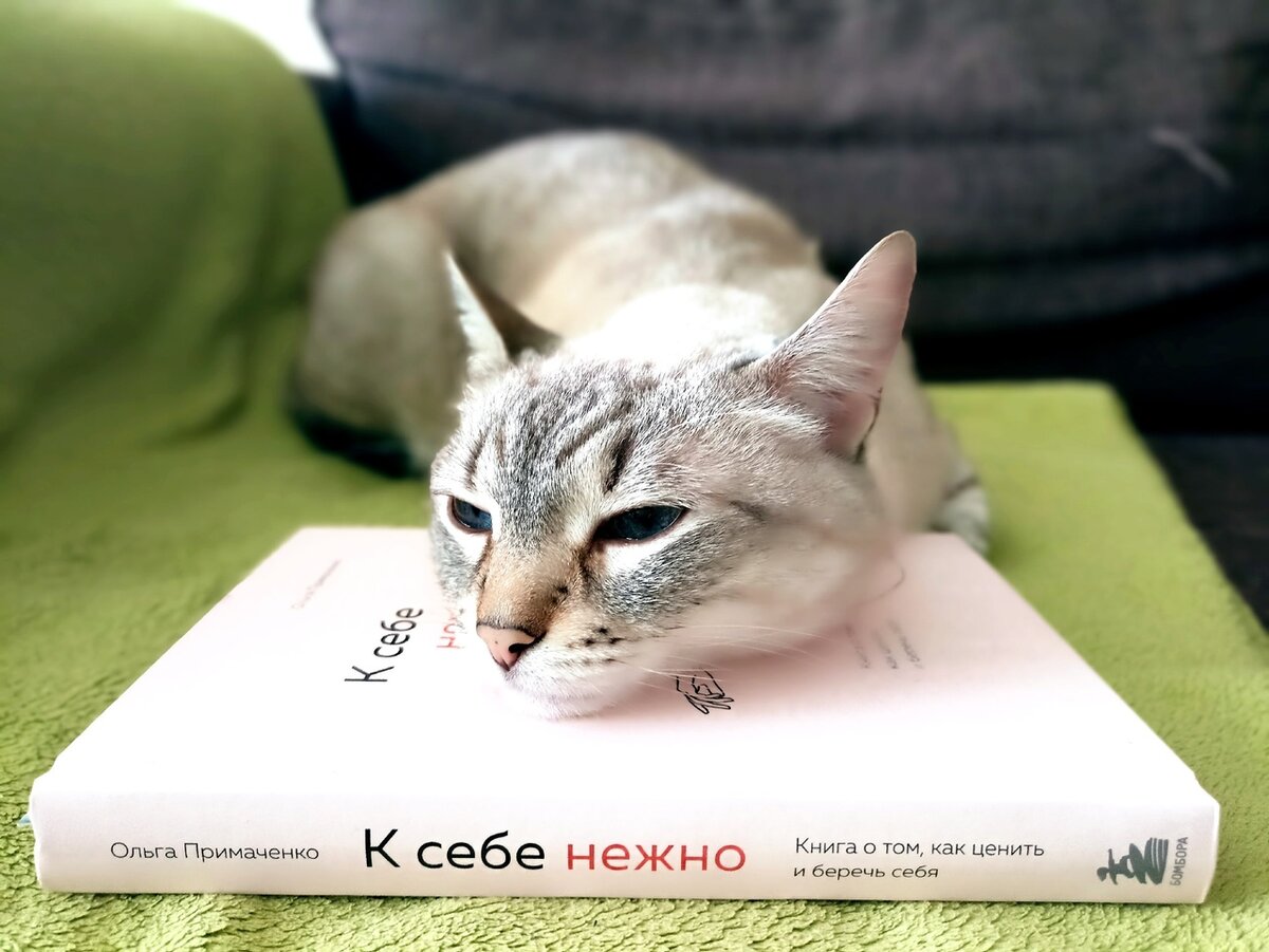 Буся книгу тоже одобрила и с особной нежностью спит на ней)