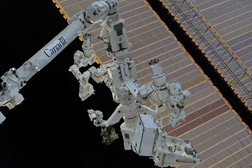 Канадский дистанционный манипулятор SSRMS с ловкой насадкой Dextre. Фото: spacefacts.de