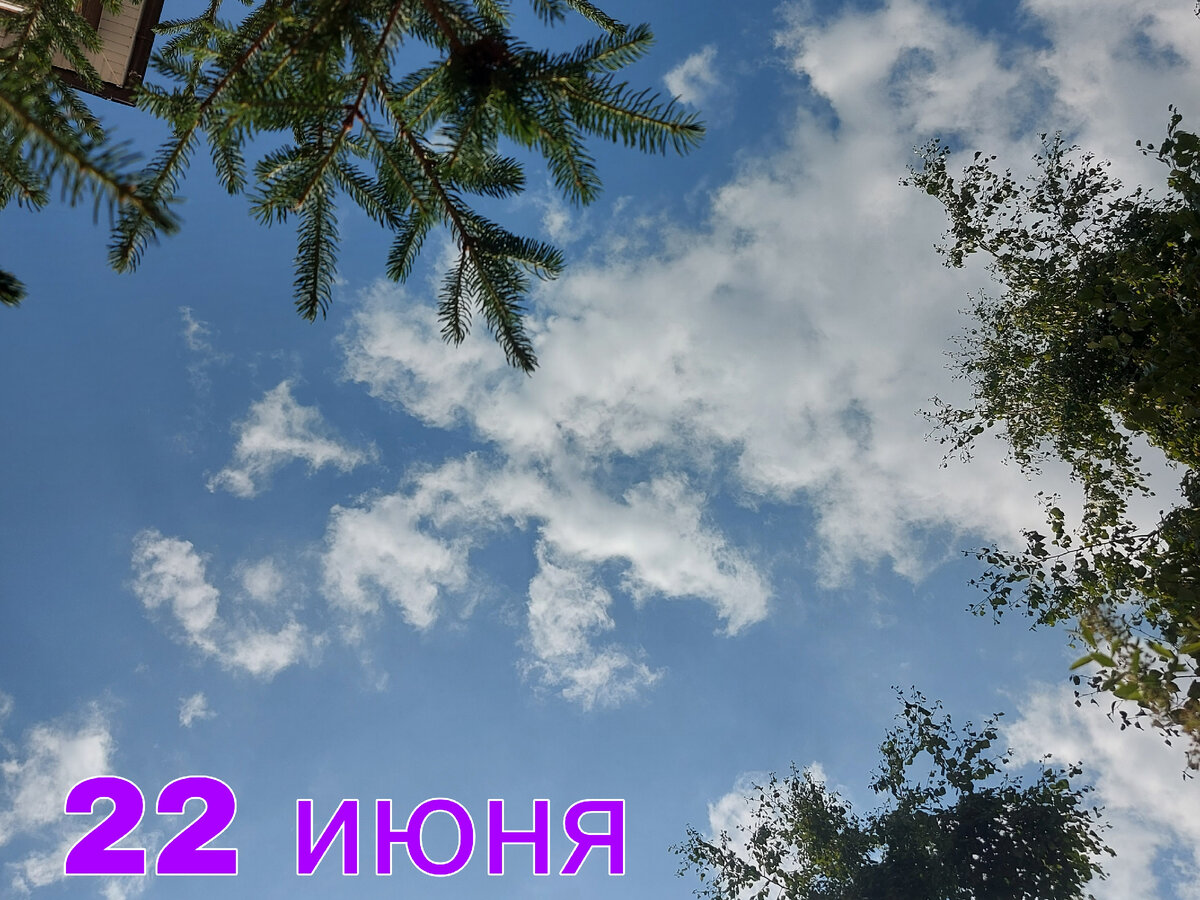 Сегодня тоже удалось часик понаблюдать за облаками и летающими птичками.