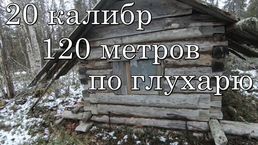 Шок!Подстрелил глухаря с 120м с вертикалки,ночь в избе,не пуганные глухари.