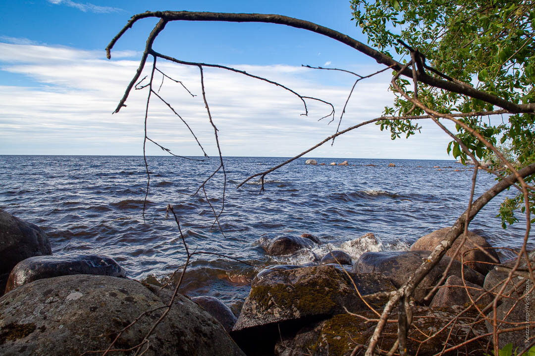 На берегу Ладоги