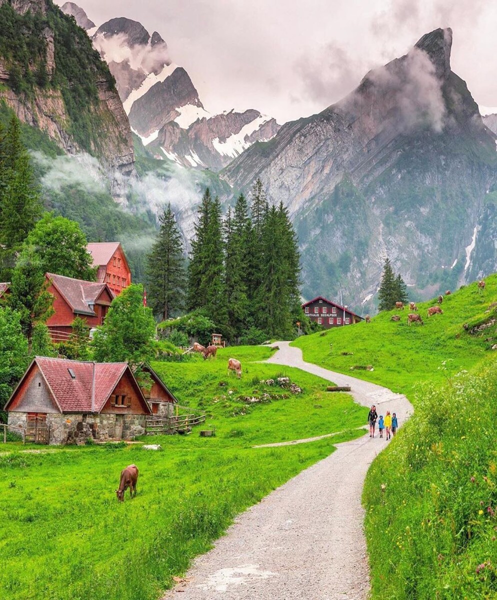 Фото из открытых источников