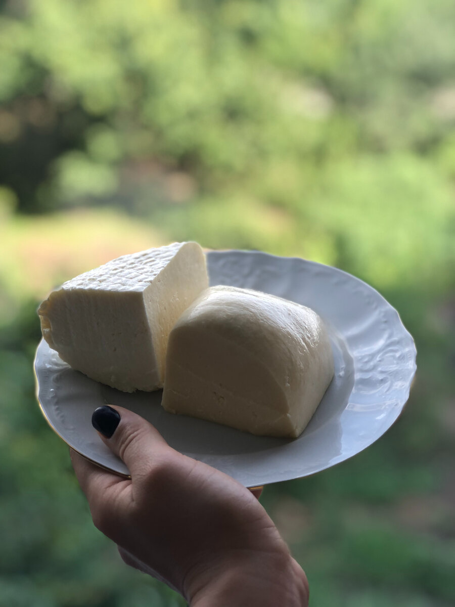 Адыгейский сыр - гордость Адыгеи. Рассказываю, где купить вкусный сыр в ...