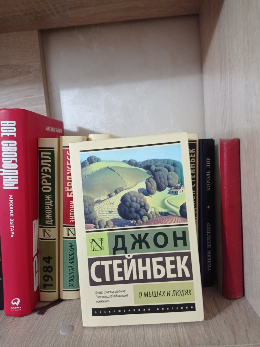 Спаси ее книга