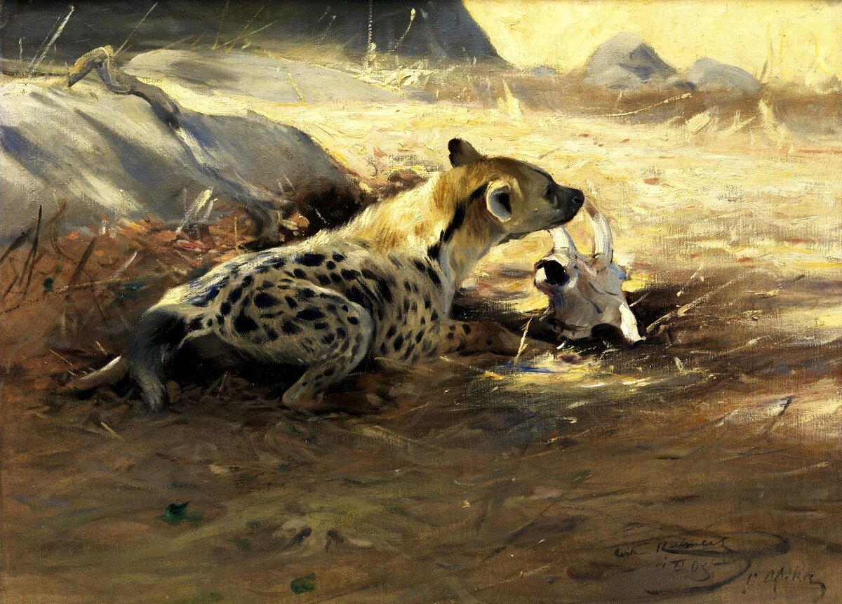 Вильгельм Кунерт 1865-1926. Гиена