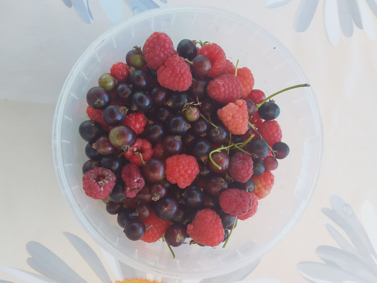 Свои свежие ягоды-это СУПЕР!!!