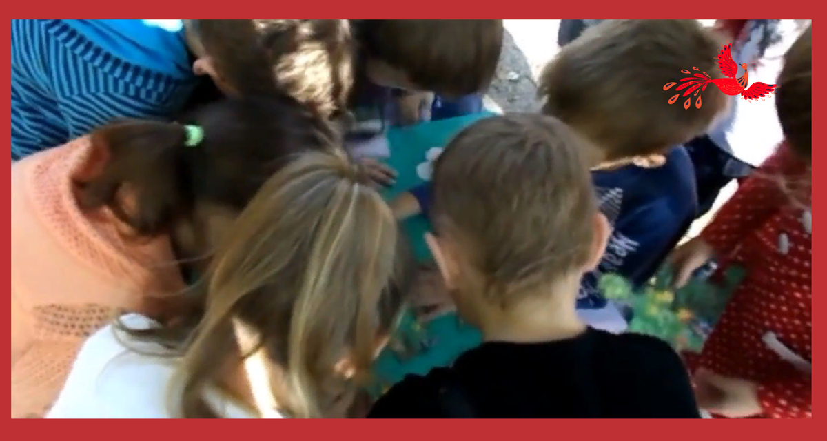 Яндекс картинки