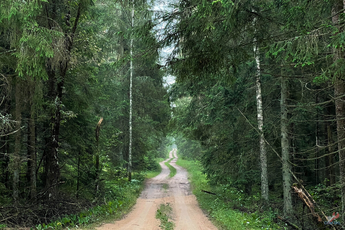 Дорога в сторону объекта. 