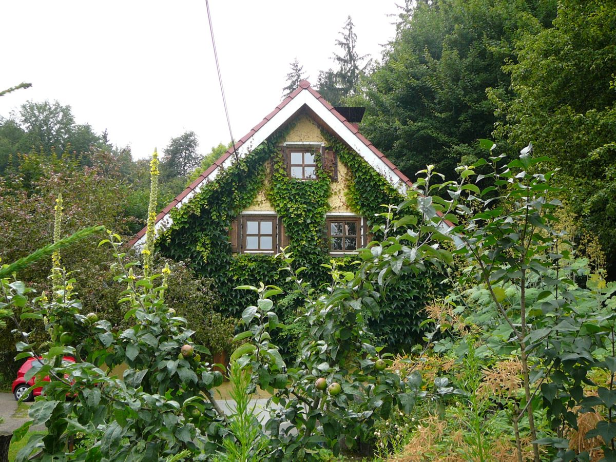 Предписания и запреты есть на немецких дачах