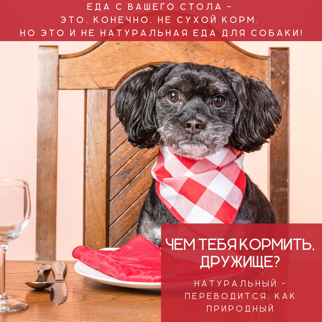 Натуральная еда для собаки это мясо, субпродукты и немного растительной добавки