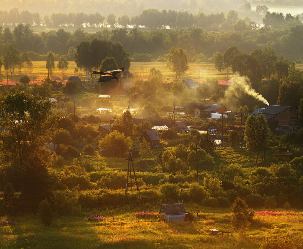 фото из свободного доступа. яндекс картинки.