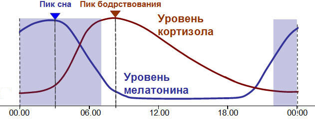 Источник: http://ingorizont.ru/?p=1259 