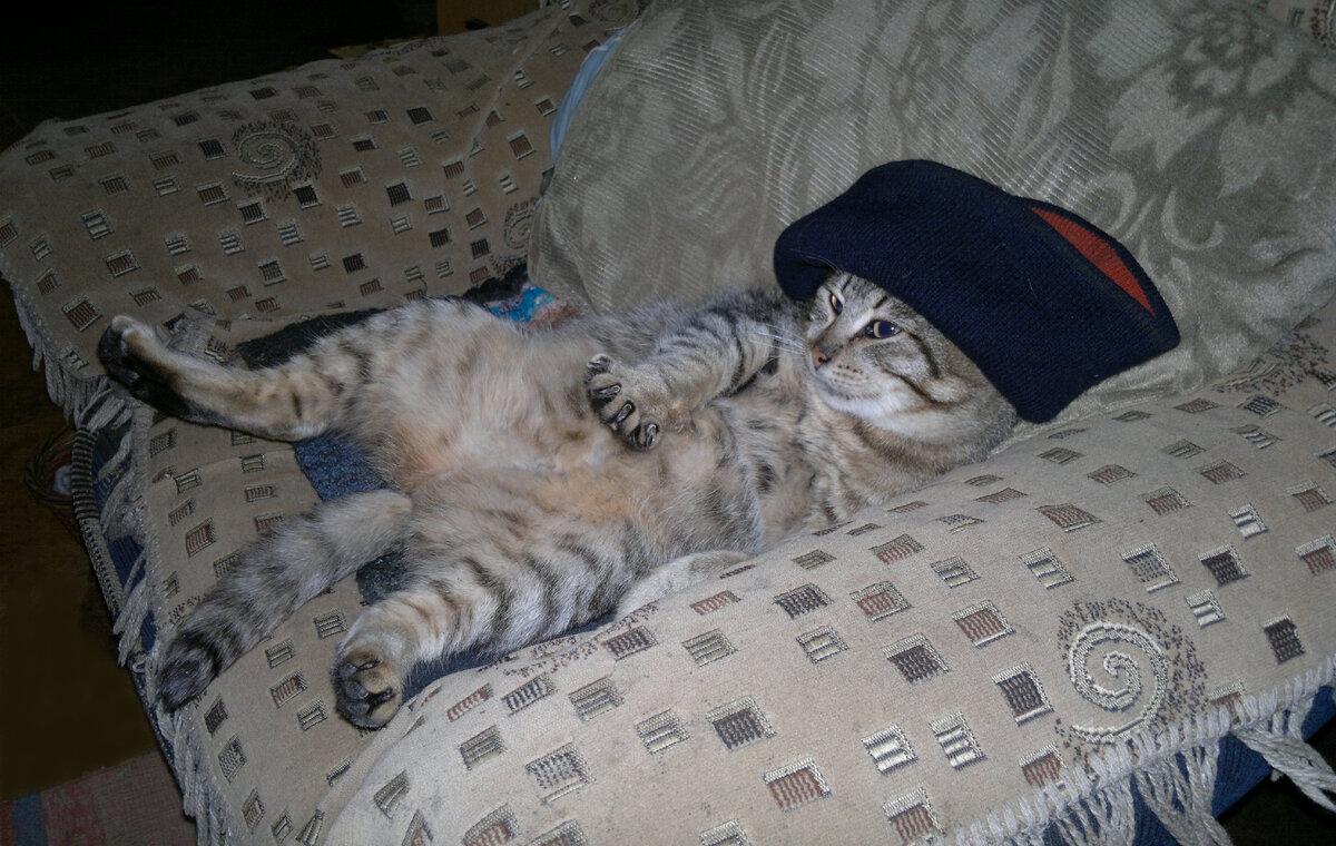 Фото автора