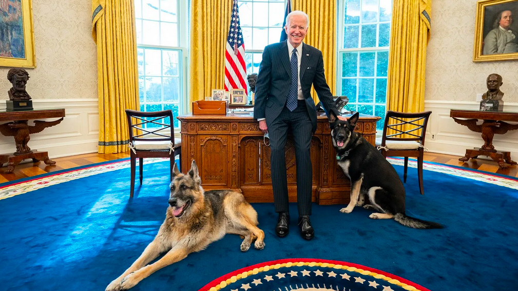 Джо Байден, крайний президент США. Фото: Кристофер Моррис