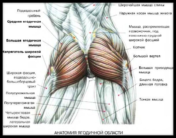 Свищи прямой кишки