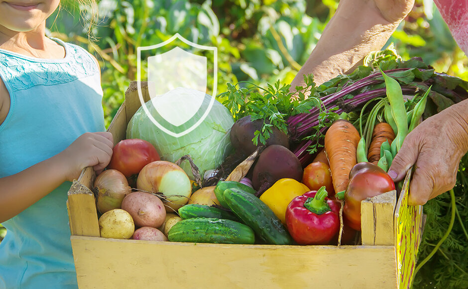 Урожай овощей. Осенний огород. Урожай. Морковь в ящике. Богатый урожай.