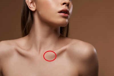 Вот бугорки ключиц