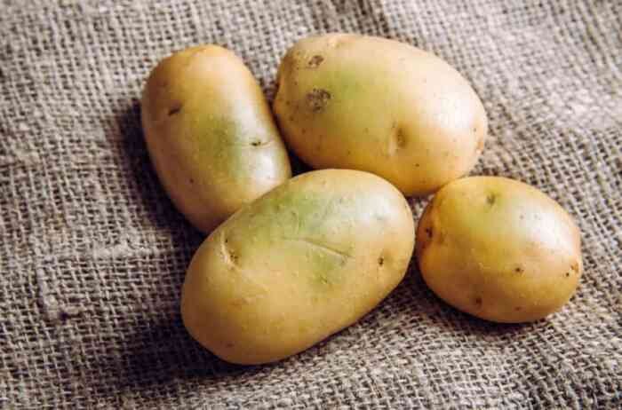 Что произошло с урожаем зеленого картофеля?