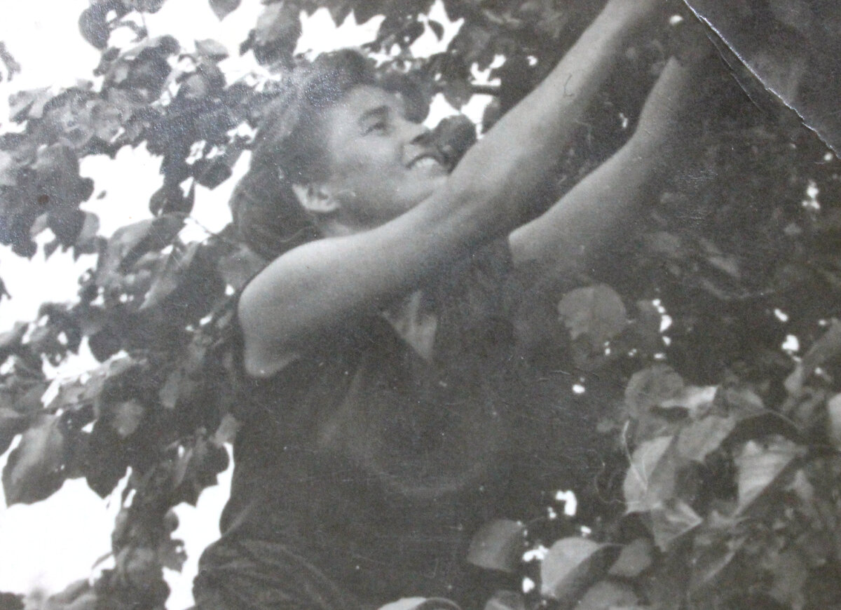 Мамочка на сборе фруктов. Зарабатывала и так. Мой фото со старенького