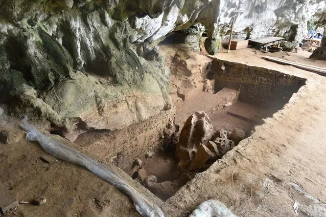 Найденной кости от 25000 до 16000 лет. Brumm et al., 2021, PLOS ONE / Basran Burhan