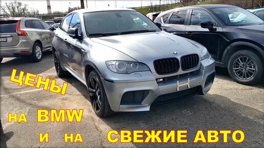 Цены на BMW и свежие автомобили.