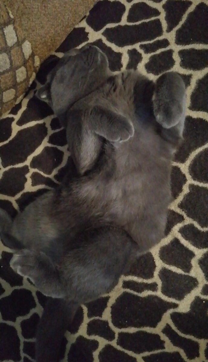 Личное фото. 