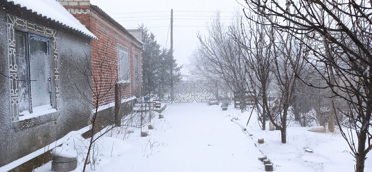 Опять, метель... ) Сегодня на утро всё это великолепие растает и превратится просто в эпическую грязь, но не мог не показать что и на юге метели бывают)))