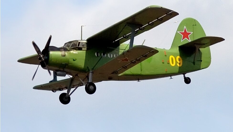 Фото из интернета 