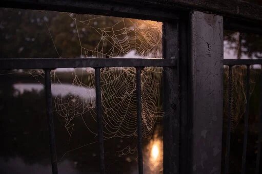 Из свободного источника Интернет